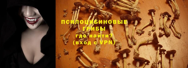 прущие крисы Богородицк