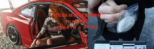 дмт Богданович