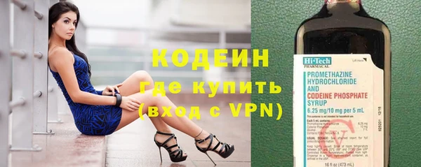 дмт Богданович