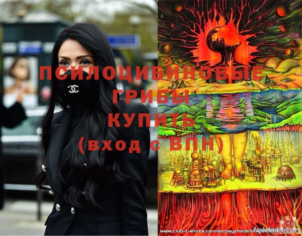 прущие крисы Богородицк