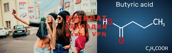дмт Богданович