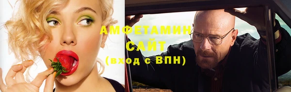 дмт Богданович