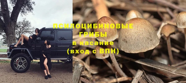 дмт Богданович