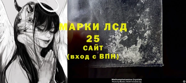 дмт Богданович