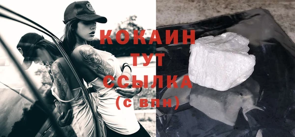 дмт Богданович