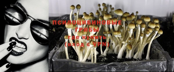 прущие крисы Богородицк